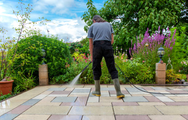 Best Animal Enclosure Cleaning  in Flanders, NY