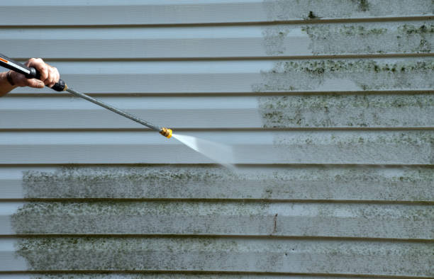 Best Roof Washing  in Flanders, NY